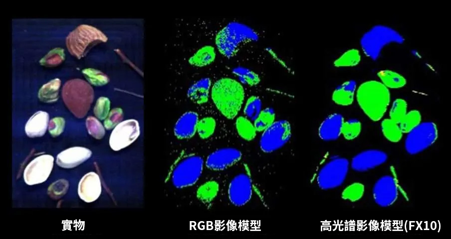 開心果和堅果歸類為綠色,果殼歸類為藍色,木棒歸類為黃色。